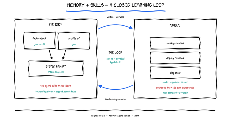 Hand-drawn diagram: memory (facts and a user profile frozen into the system prompt, edited by the agent itself, capped) and skills (loaded on demand, self-authored, portable) connected by a closed curation loop.